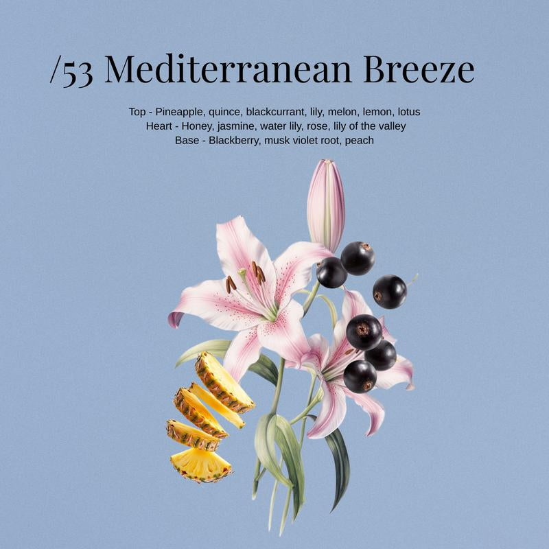 [W.Dressroom] Fresh & Clean Collection (No.45 & 53) - Korean Clean Girl Scent for Clothes, Fabrics, Rooms, Cars, Natural Odor Eliminator, Anti-Bacterial Perfume Mist, Hypoallergenic