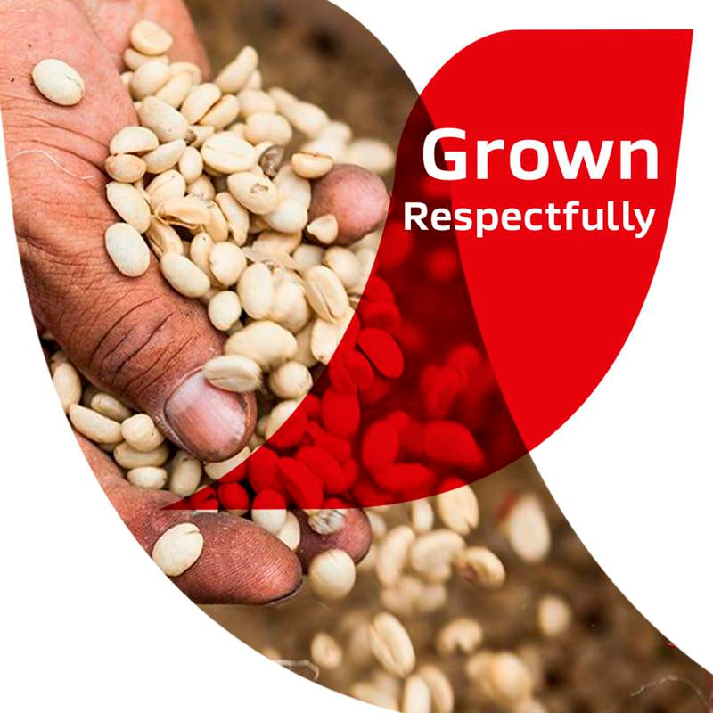 NESCAFE Cafe De Olla Cinnamon Flavored Instant Coffee 6.7 Oz Jar - Ideal for Coffee Lovers - Beverage, Bean