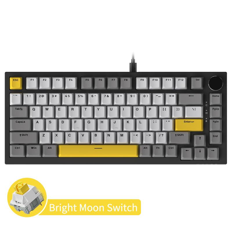 AJAZZ AK820 Wired Mechanical Keyboard, Hot Swappable Socket Gasket Structure Customization Keyboard, RGB Layer Filling PBT Keycap Keyboard for Gaming, Office, Home