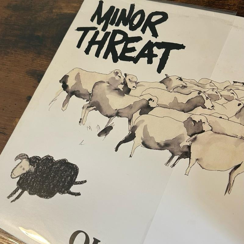 100 Clear Plastic LP Outer Sleeves 3 Mil. Vinyl Record Album Covers