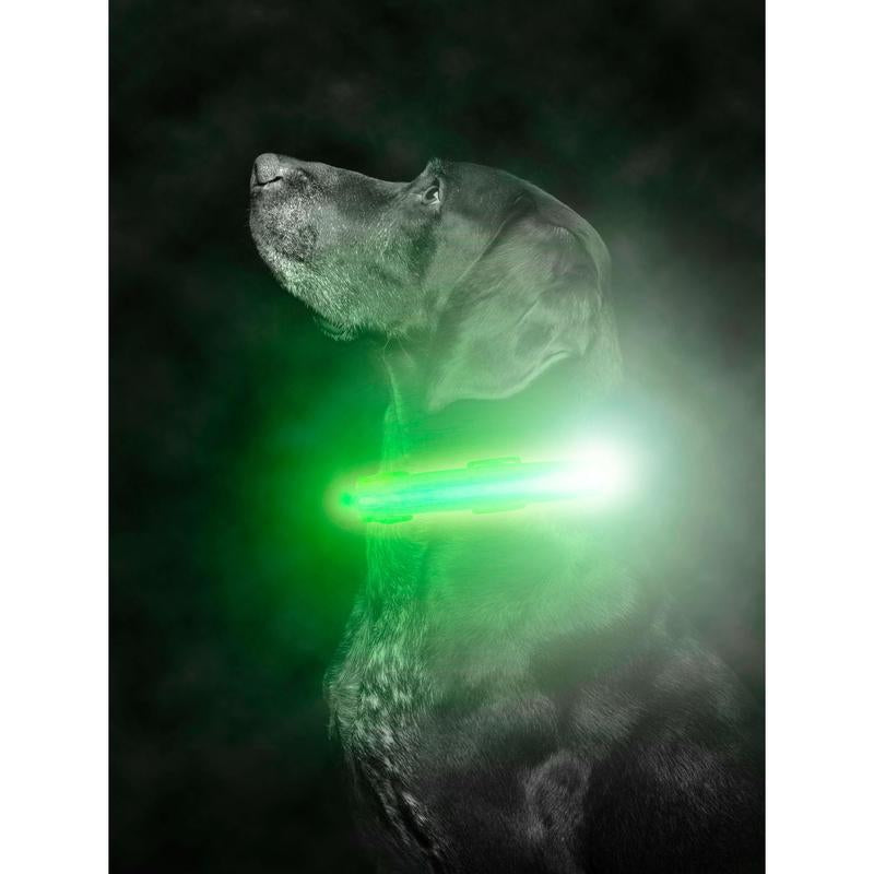 Mighty Paw LED Dog Collar - Two Light Strips, Rechargeable & Weather-Resistant